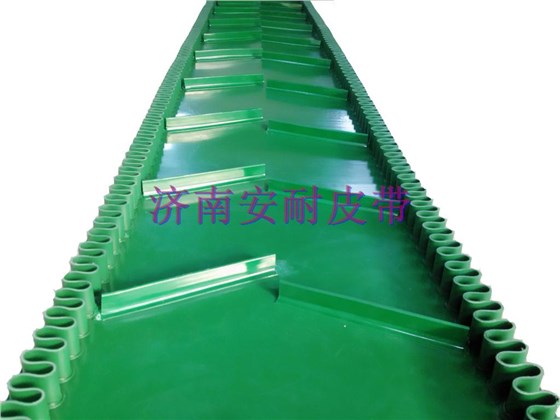 裙邊輸送帶-綠 (2)