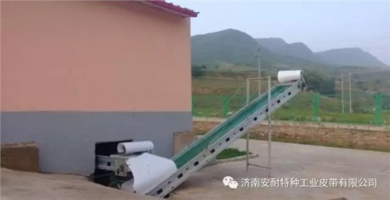 家禽養殖輸送帶 (2)