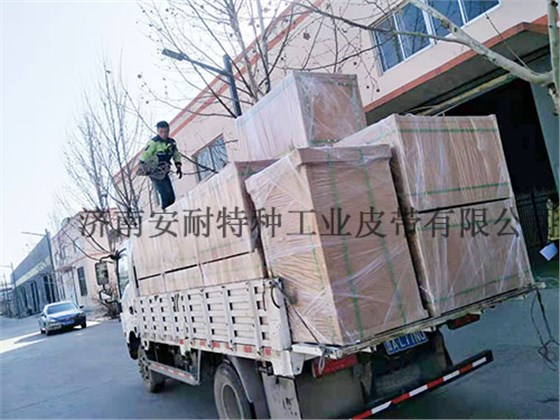 40條出口的工業(yè)皮帶annilte如期交貨04