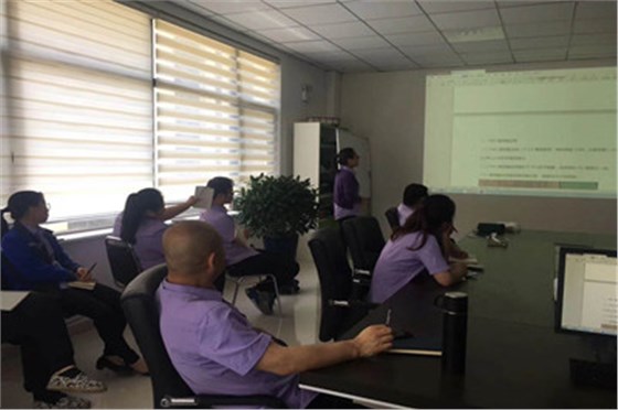 公司中高層領導