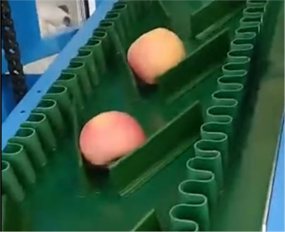 微信圖片_20210514113844