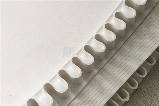 毛毯機(jī)皮帶2