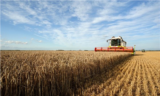 聯(lián)合收割機(jī)輸送帶