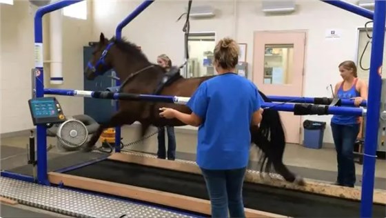 微信圖片_20230923100545