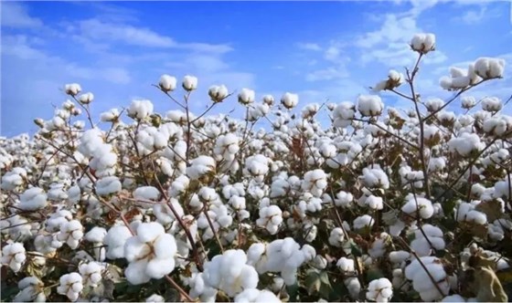 微信圖片_20231028142702