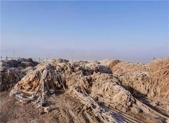 u=3297413935,2494099724&fm=253&fmt=auto&app=138&f=JPEG_看圖王