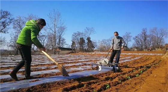 u=2489919805,889624689&fm=253&fmt=auto&app=138&f=JPEG_看圖王