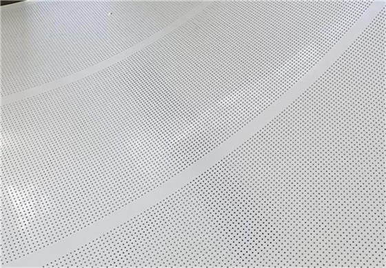 雞糞烘干輸送帶4