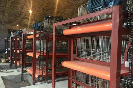 清糞帶制藥廠-6