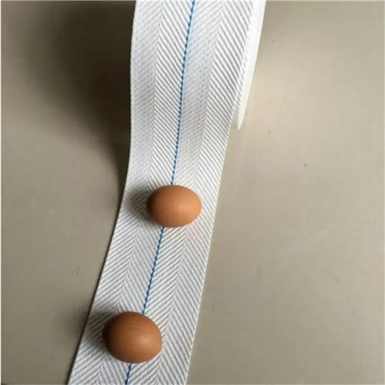 打孔撿蛋帶0219-3