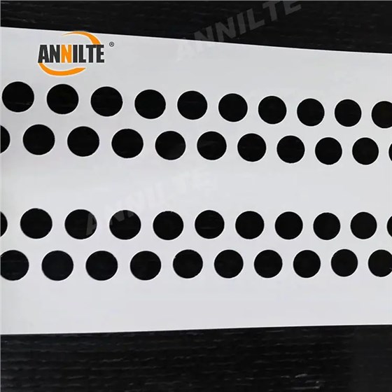 打孔撿蛋帶0224-1