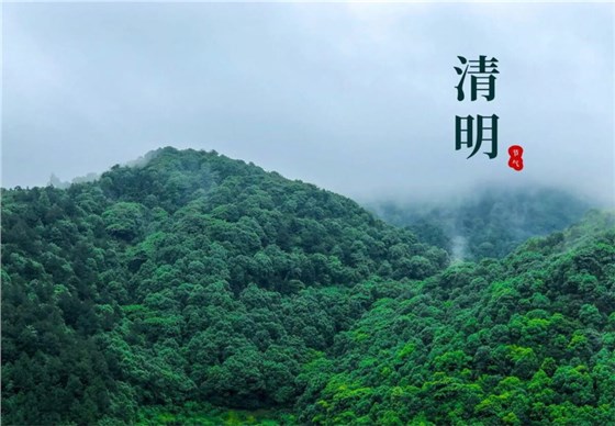 清明節(jié)0402-2