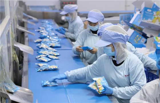 切片分份機皮帶0628-9