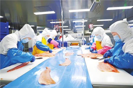 切魚機皮帶0702-1