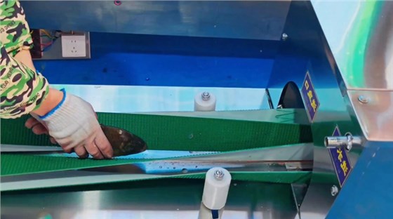 切魚機皮帶0702-2