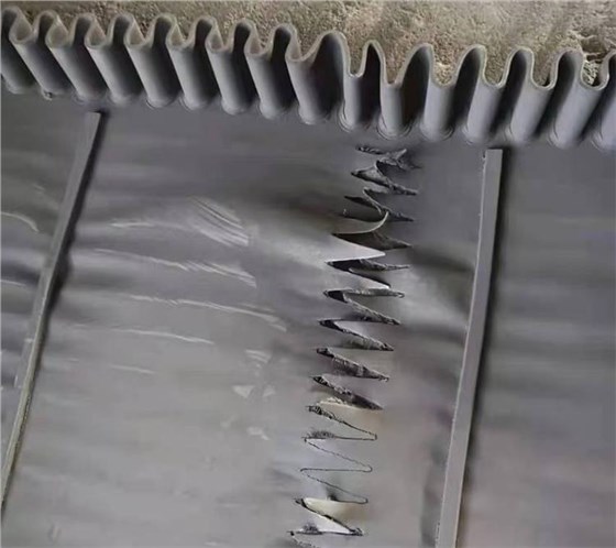 裙邊擋板輸送帶1020-4