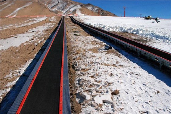 滑雪場魔毯輸送帶1124-11