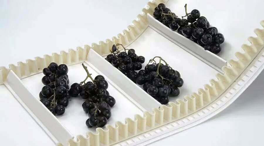 食品輸送帶：annilte特種工業皮帶