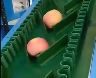 微信圖片_20210514113844