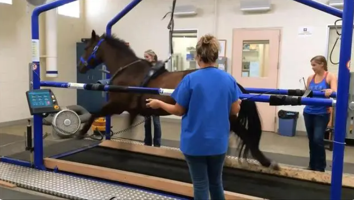 微信圖片_20230923100545