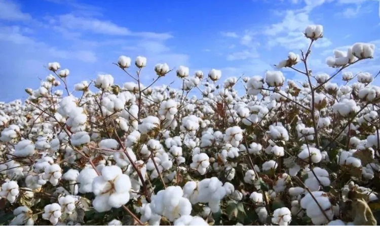 微信圖片_20231028142702