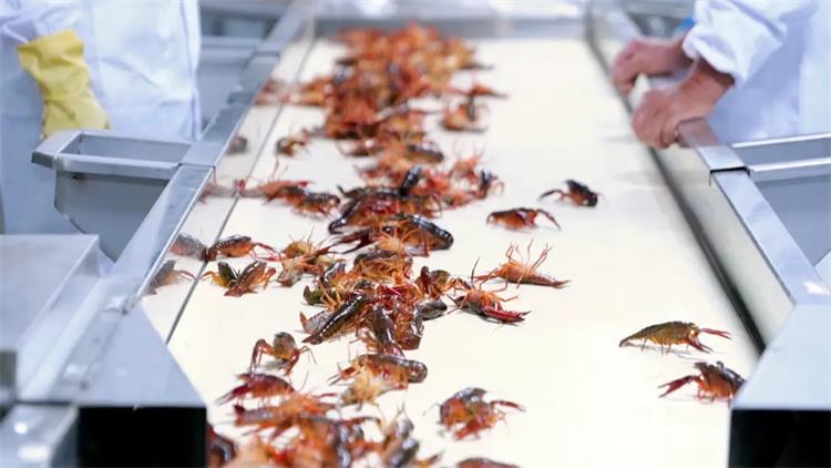 4e10bb3203584a33bdd62df47c4d2fa8_看圖王