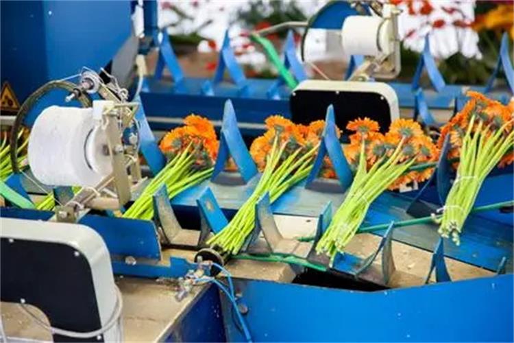 鮮花捆扎機皮帶2