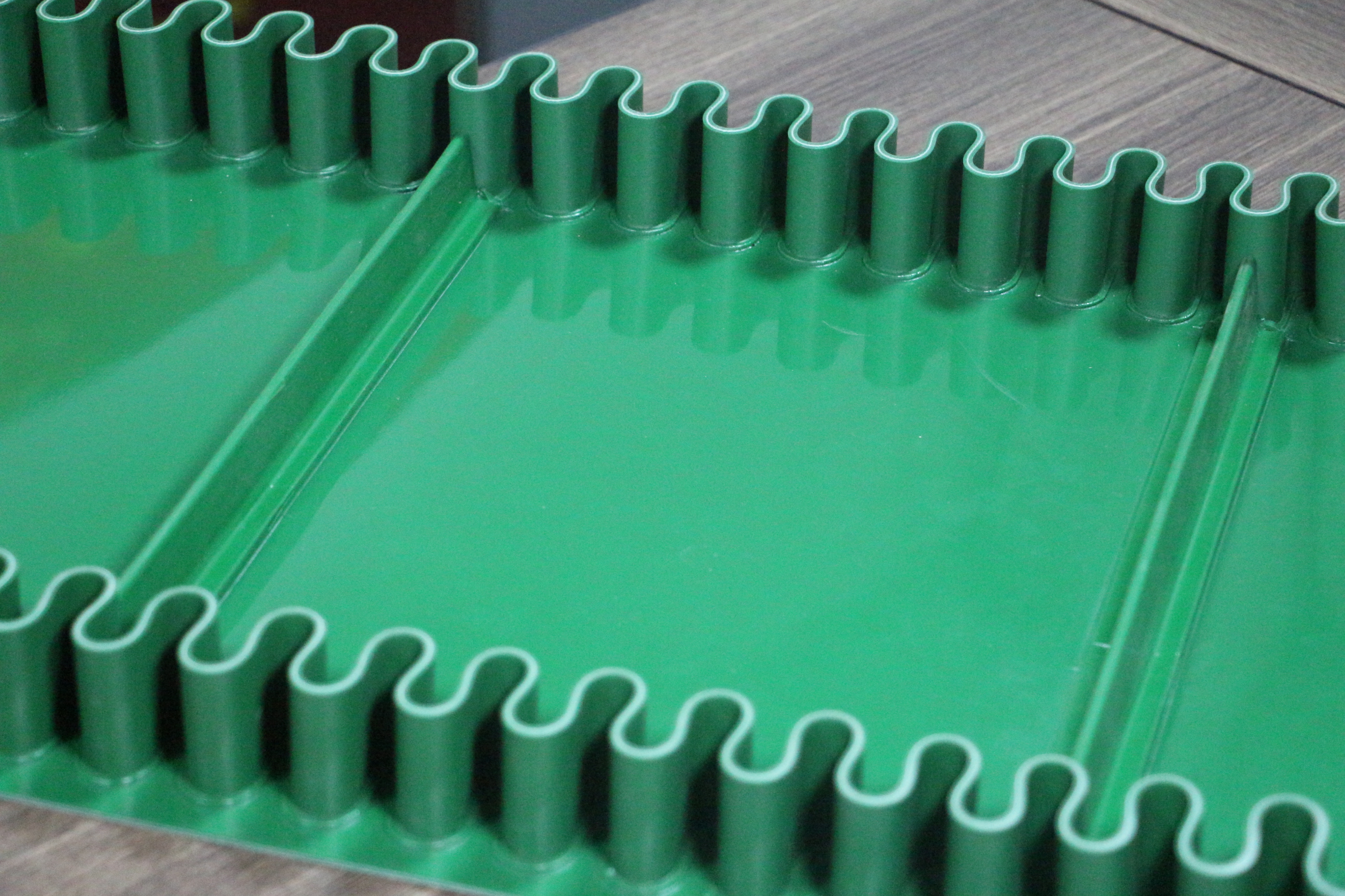 生物質(zhì)顆粒的輸送帶