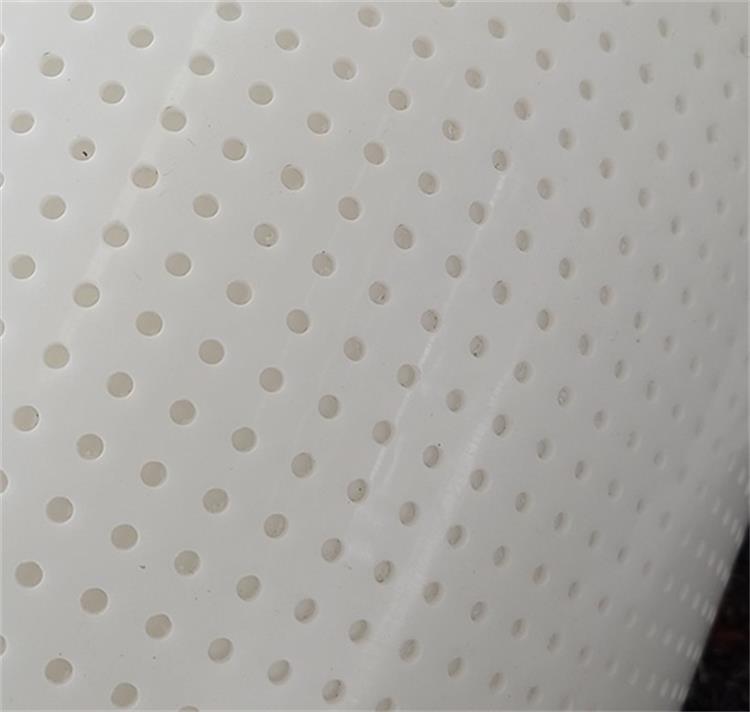 雞糞烘干輸送帶2