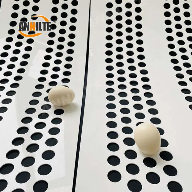 打孔撿蛋帶0224-3