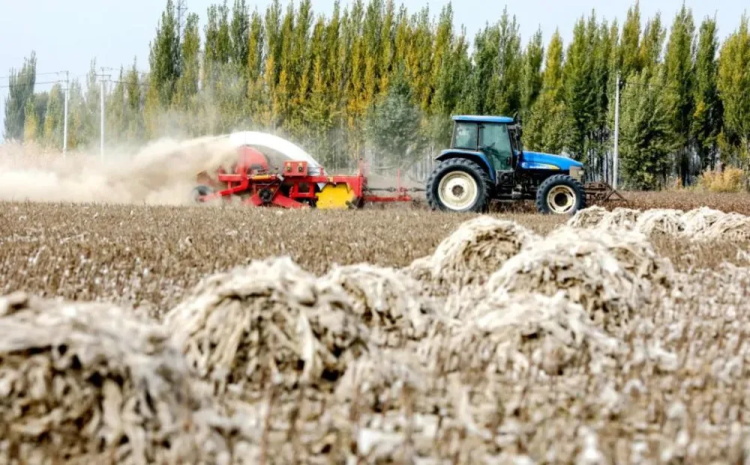 殘膜回收機皮帶0317-1