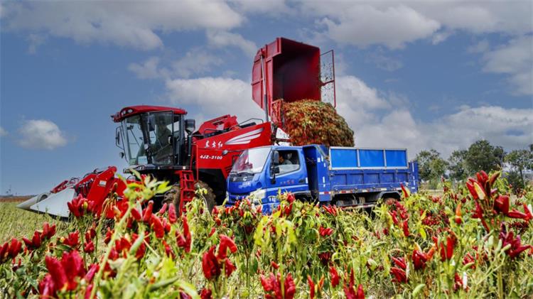 農(nóng)業(yè)強國-4