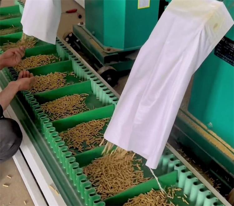 裙邊擋板輸送帶0313-1