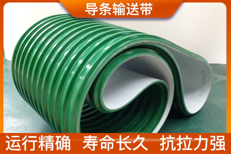 【濟南安耐】導條輸送帶