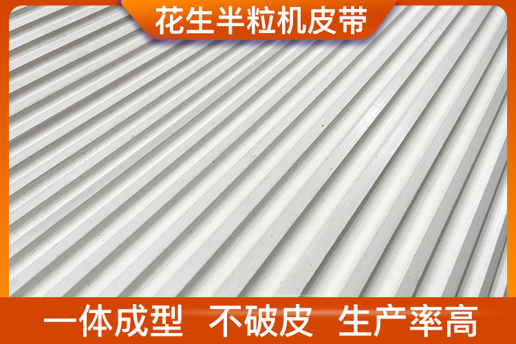 花生半粒機皮帶