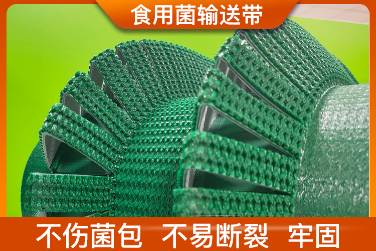 食用菌輸送帶