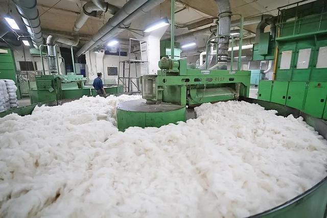 微信圖片_20231115101401