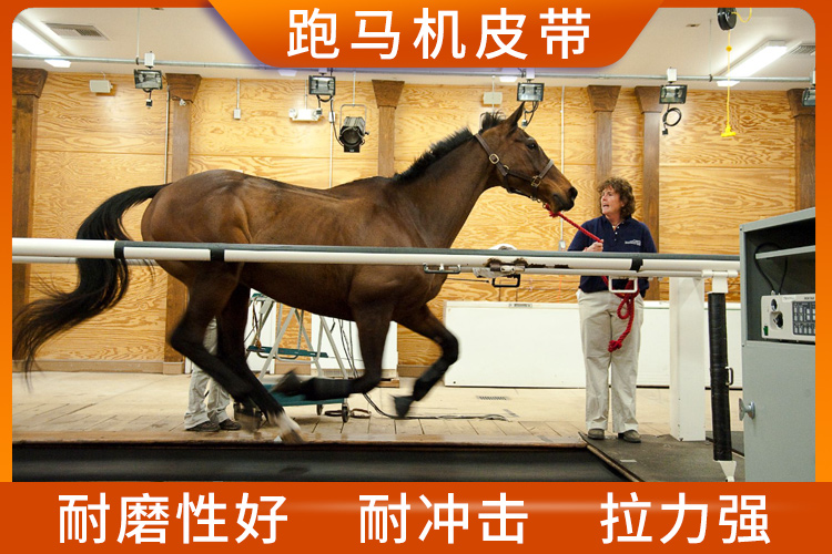 跑馬機皮帶
