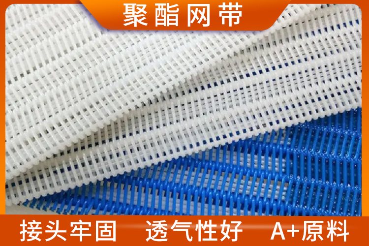 聚酯網帶