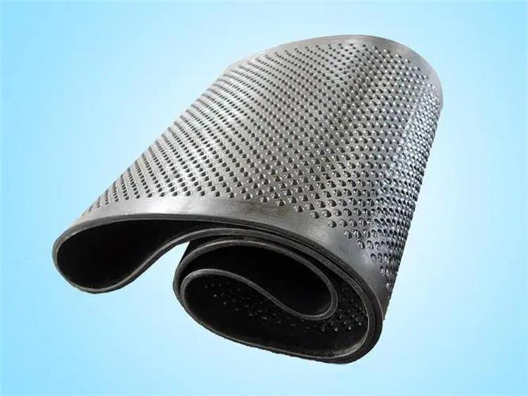 拋糧機(jī)輸送帶