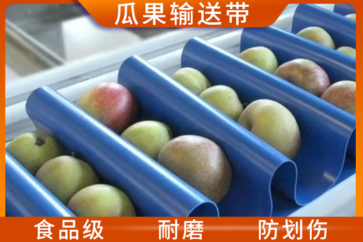 瓜果輸送帶