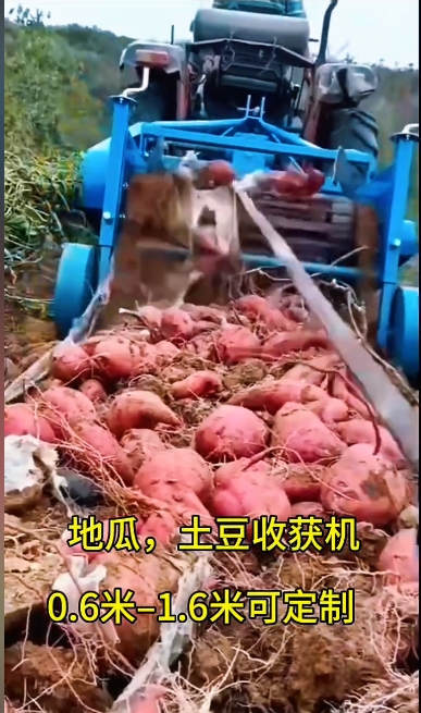 土豆收獲機皮帶
