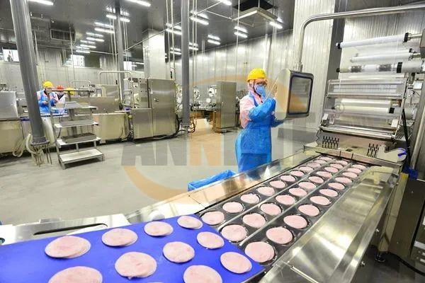 切片分份機(jī)輸送帶