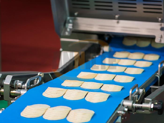 GFZ高分子輸送帶