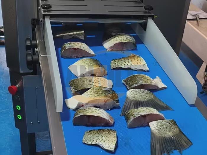 切魚機(jī)皮帶