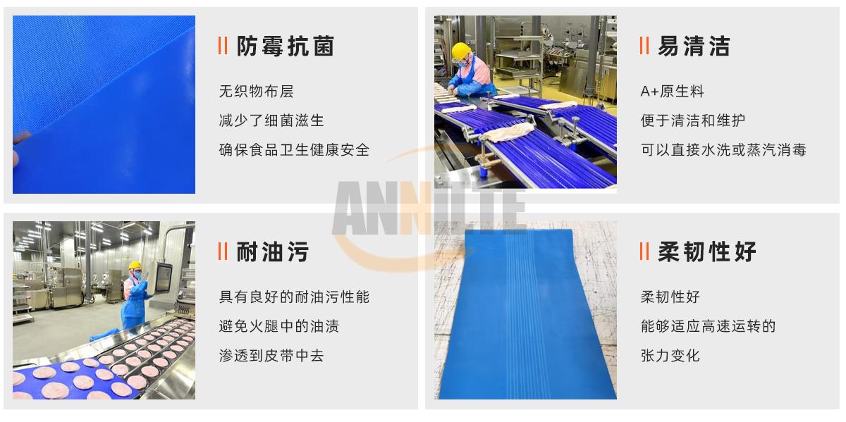 切片分份機(jī)輸送帶