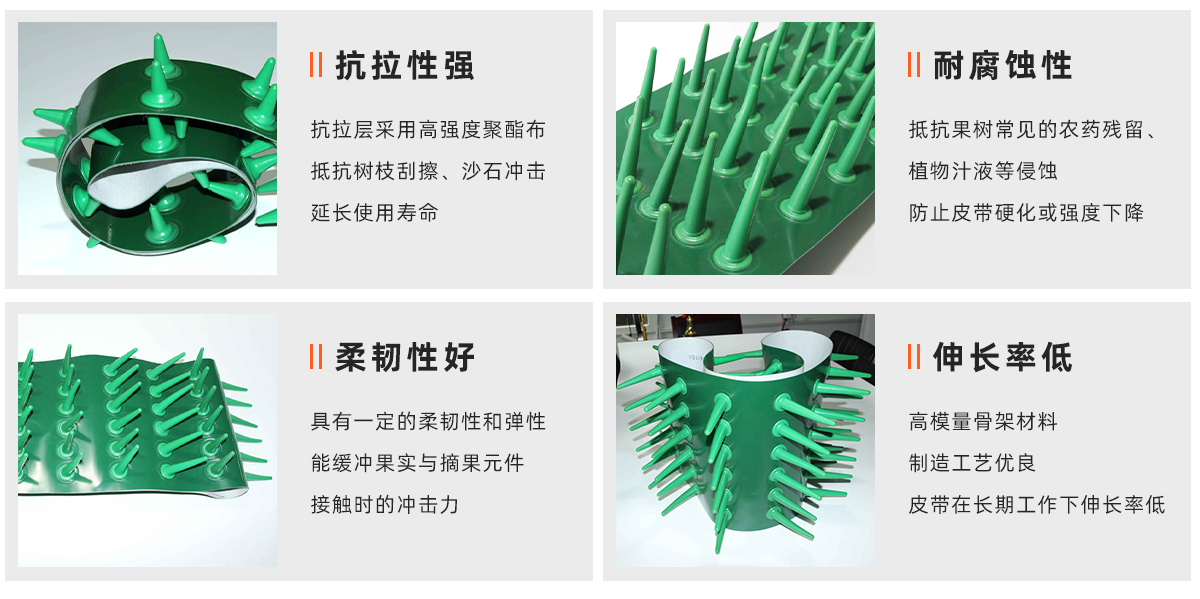摘果機(jī)皮帶1_01